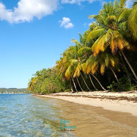 Kawan Nid - Tout Confort, Plage A 2 Min A Pied, Piscine, Wifi, Climatisation Grand-Bourg  Extérieur photo