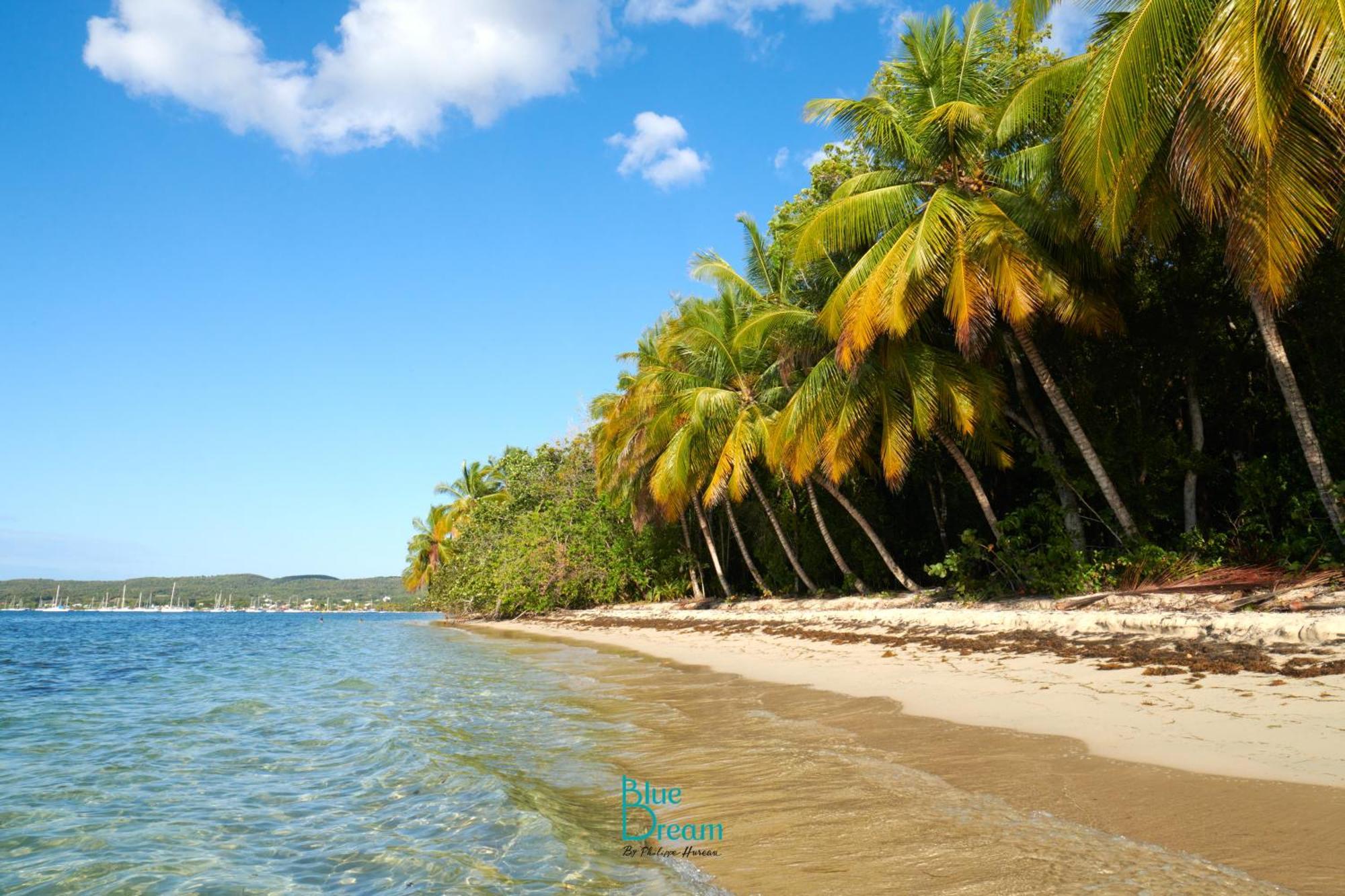 Kawan Nid - Tout Confort, Plage A 2 Min A Pied, Piscine, Wifi, Climatisation Grand-Bourg  Extérieur photo